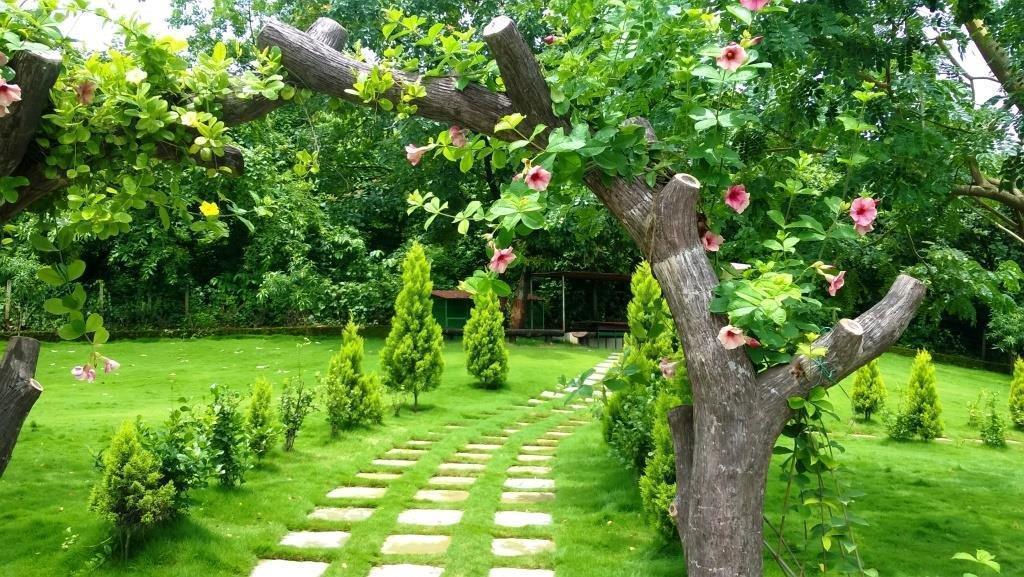 Sparsh Resort & Chalet Kalamb  Exterior photo